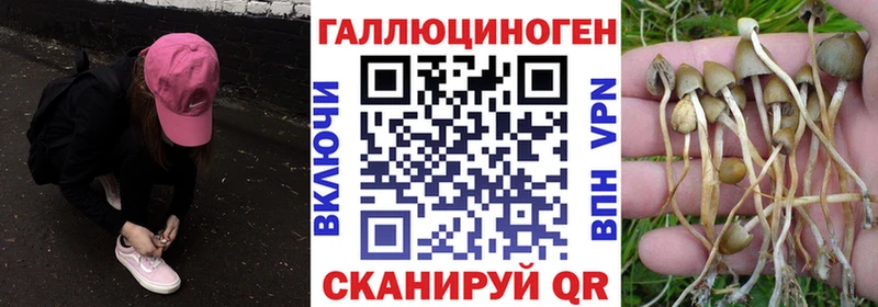 Псилоцибиновые грибы Psilocybe  Давлеканово 